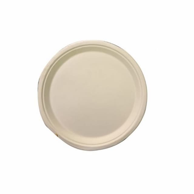 10inch Round Plate