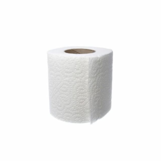 100g Toilet Roll