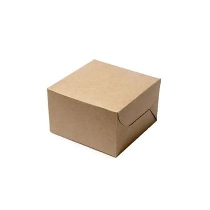 Idly 2pcs Box ( Brown Without Lamination )