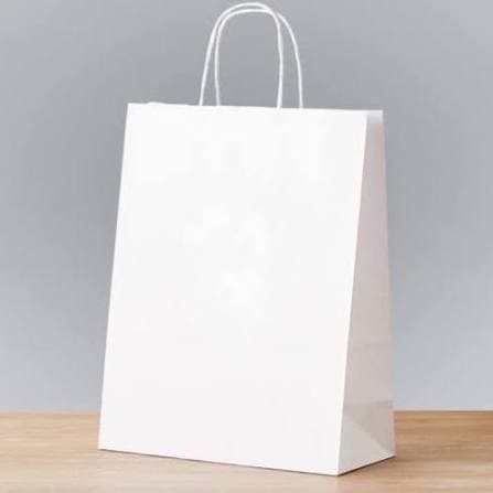 8.5x8.5x5 Carry Bag